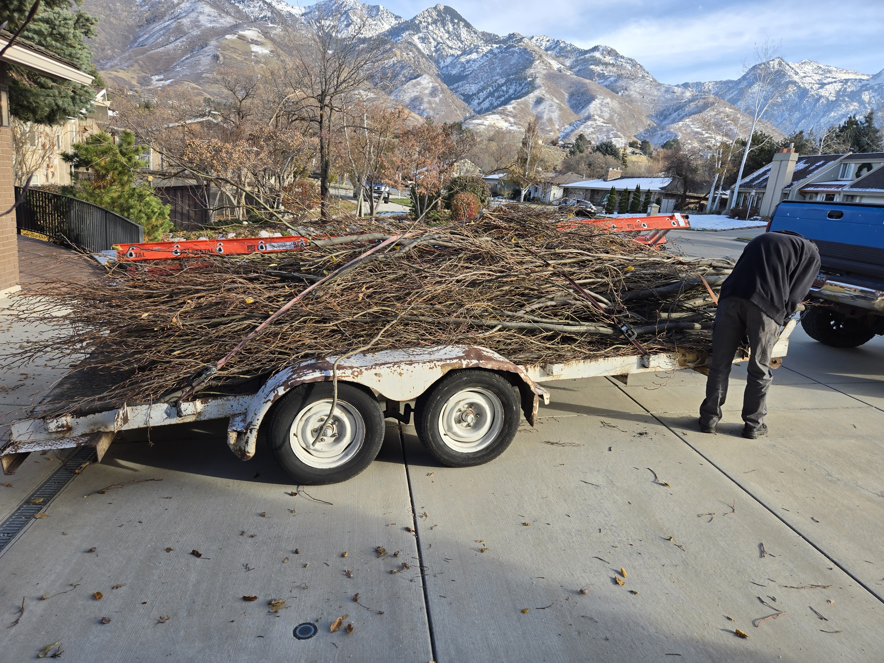 Tree trimming; started with a jeep and a trailer