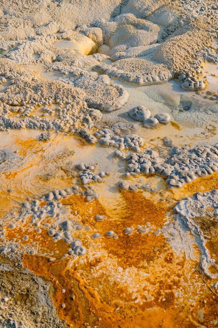Acidic Clay Soil