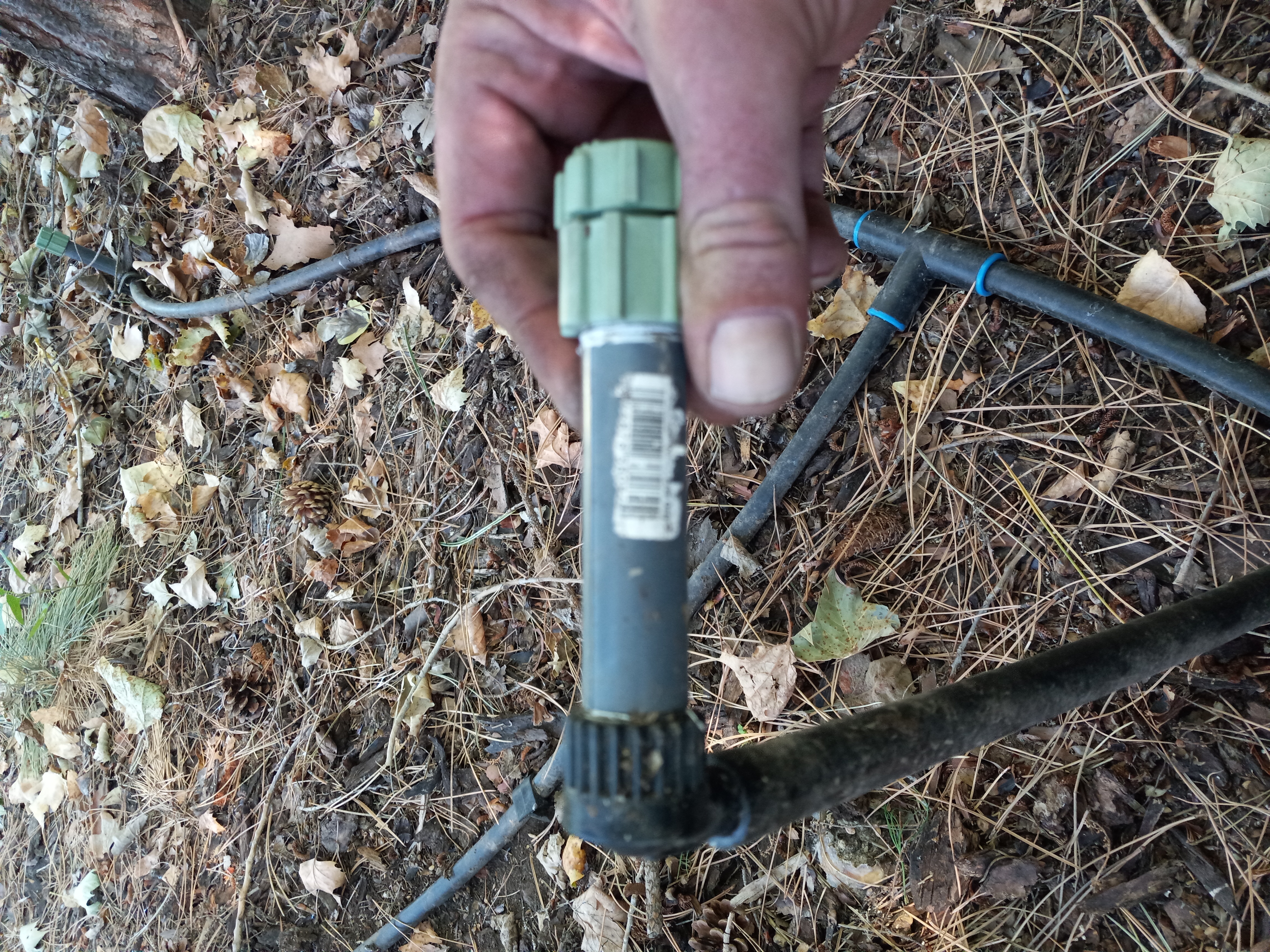 Soil Quality Matters
